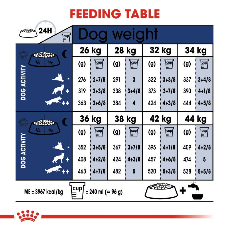  عکس راهنمای غذای خشک سگ نژاد بزرگ رویال کنین Royal Canin Maxi Adult وزن 4 کیلوگرم 