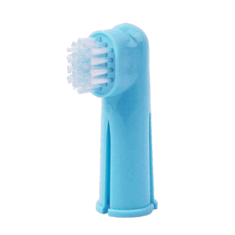 تصویر محصول ست مسواک سگ و گربه تائوتائوپت مدل Pet Comb 