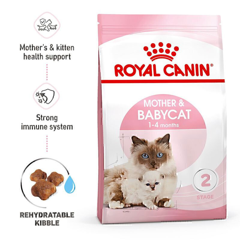  عکس همراه جزییات تبلیغاتی غذای خشک مادر و بچه گربه رویال کنین Royal Canin Mother & Babycat وزن 4 کیلوگرم 