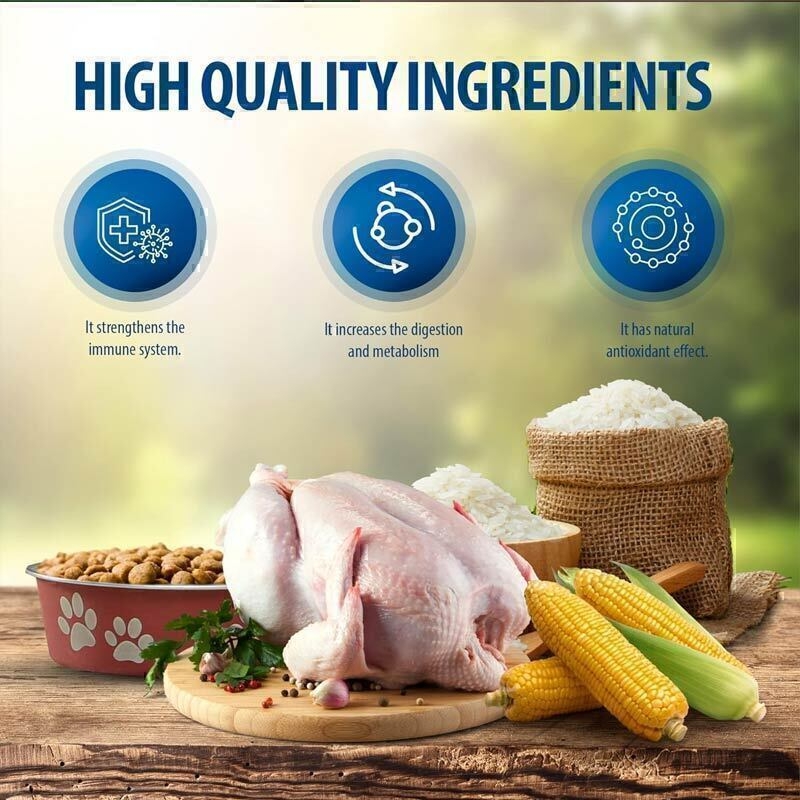  تصویر تبلیغاتی ویژگی های غذای خشک بچه گربه با طعم مرغ رفلکس پلاس Reflex Plus Kitten Chicken وزن 1.5 کیلوگرم 