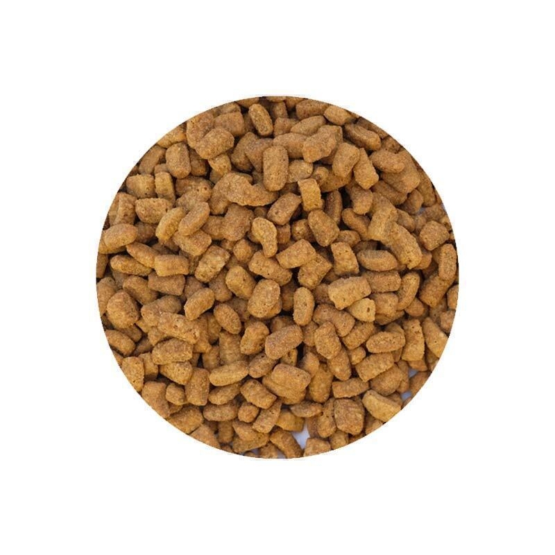  تصویر 2 محتویات غذای خشک گربه با طعم بره و برنج رفلکس پلاس Reflex Plus Adult Lamb & Rice وزن 1 کیلوگرم 