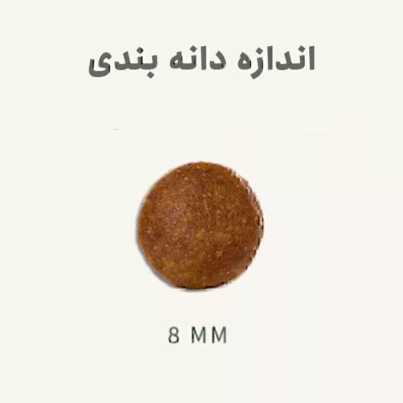  تصویر دانه بندی غذای خشک گربه بابین با طعم اردک Babin Adult Duck وزن 3 کیلوگرم 