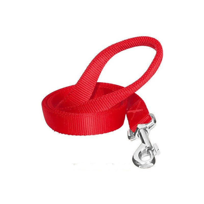  تصویر لید سگ تسمه ای هاگن Hagen Dogit Nylon Leash سایز L از نمای رو به رو 