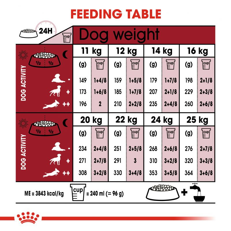  عکس راهنمای تغذیه غذای خشک سگ بالغ نژاد متوسط رویال کنین Royal Canin Medium Adult وزن 4 کیلوگرم 