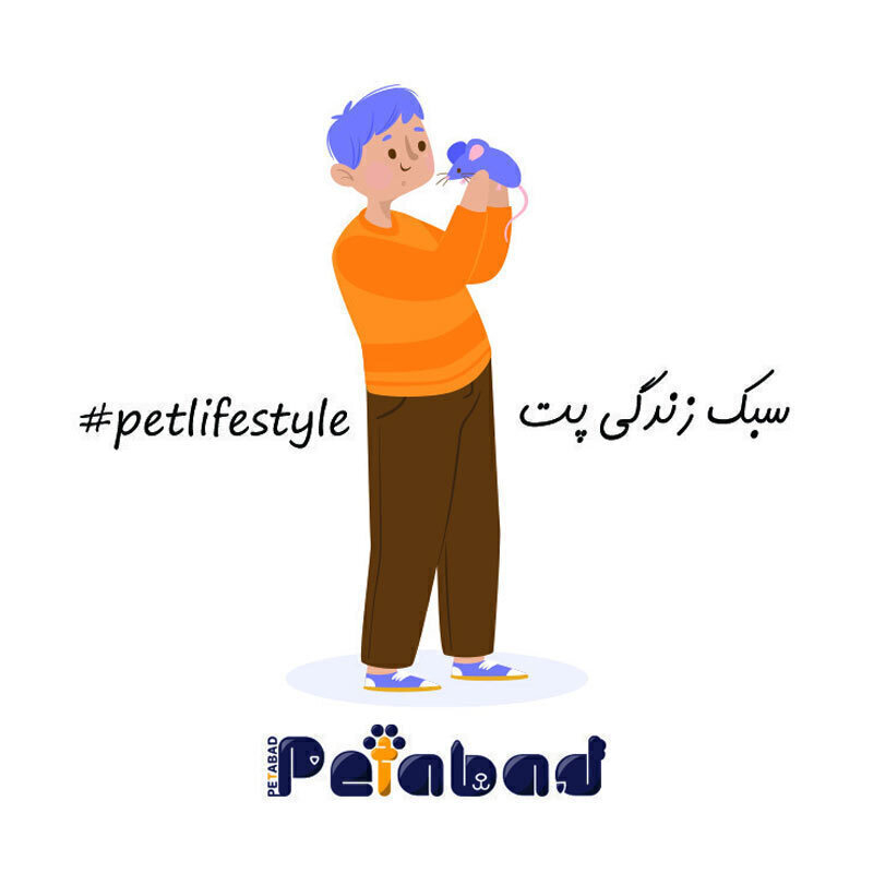  تصویر پیکسل آهنربایی - طرح جوندگان 