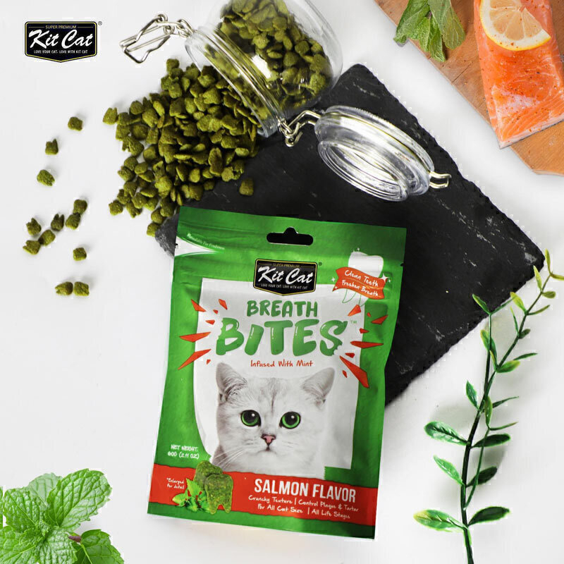  تصویر تشویقی دنتال گربه کیت کت با طعم ماهی سالمون KitCat Breath Bites Salmon وزن 60 گرم 