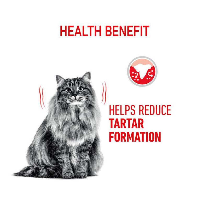  تصویر توضیحات2 غذای خشک Royal Canin Dental Care وزن 1.5 کیلوگرم 