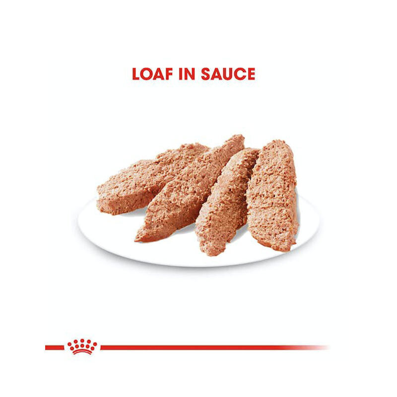  تصویر پوچ سگ درما کامفورت رویال کنین Royal Canin DermaComfort وزن 85 گرم 