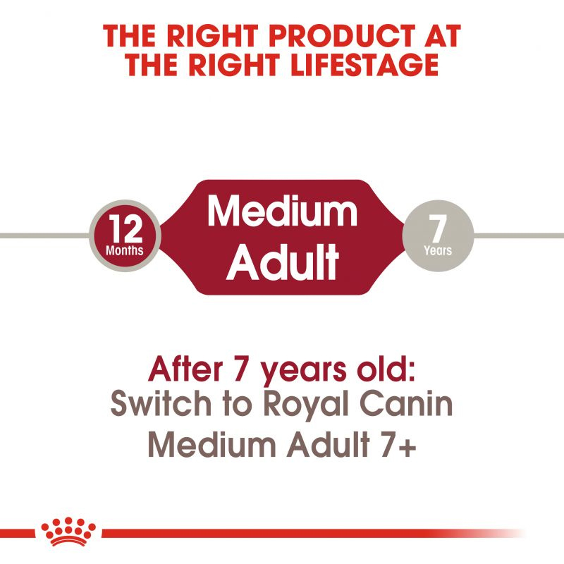  عکس توضیحات غذای خشک سگ بالغ نژاد متوسط رویال کنین Royal Canin Medium Adult وزن 4 کیلوگرم 