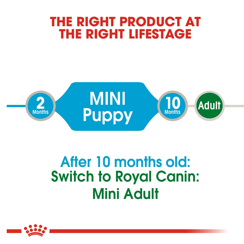  عکس توضیحات پوچ توله سگ رویال کنین Royal Canin Mini Puppy وزن ۸۵ گرم 