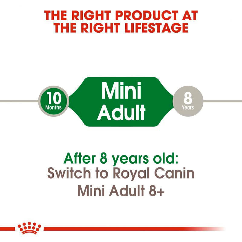 تصویر توضیحات غذای خشک سگ رویال کنین Royal Canin Mini Adult وزن 4 کیلوگرم