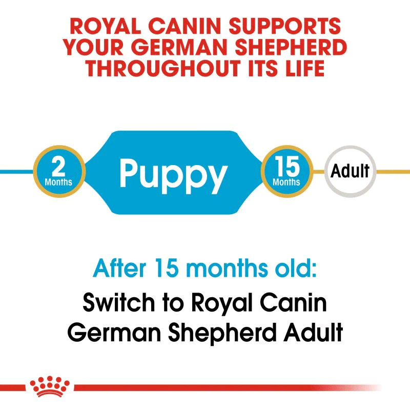  تصویر توضیحات غذای خشک توله سگ رویال کنین Royal Canin German Shepherd Puppy وزن 3 کیلوگرم 