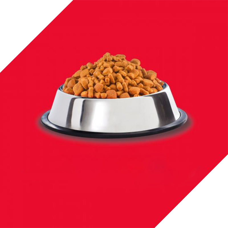  عکس دانه غذای خشک سگ درولز مدل Adult Chicken & Egg وزن 3.5 کیلوگرم 