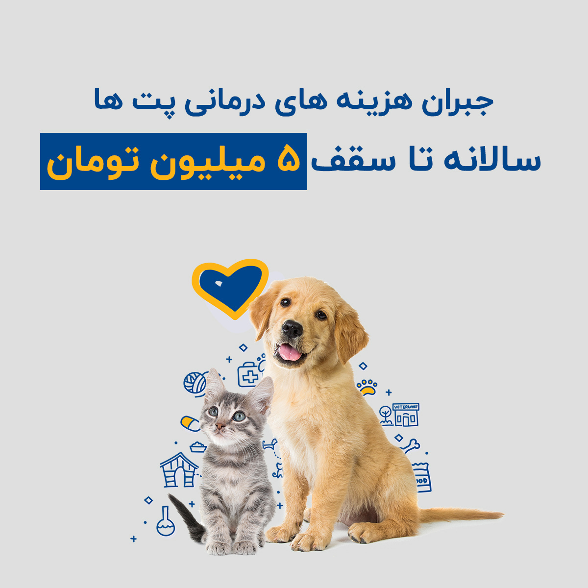  تبلیغاتی بیمه یکساله درمان حیوانات خانگی سامان 