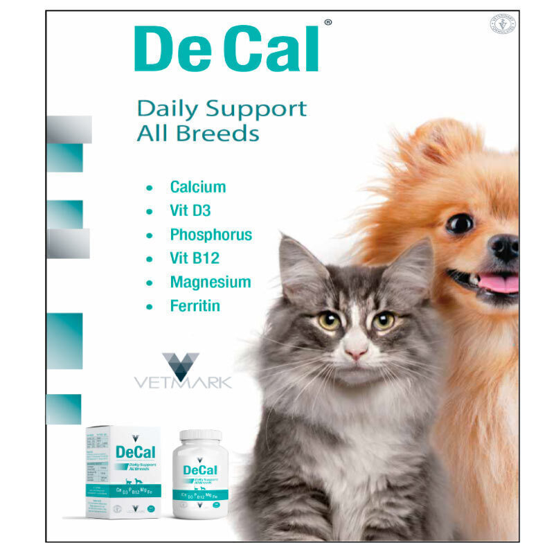  تصویر مواد معدنی داخل قرص مراقبت از دندان وتمارک Vetmark DeCal Tablet بسته 60 عددی 