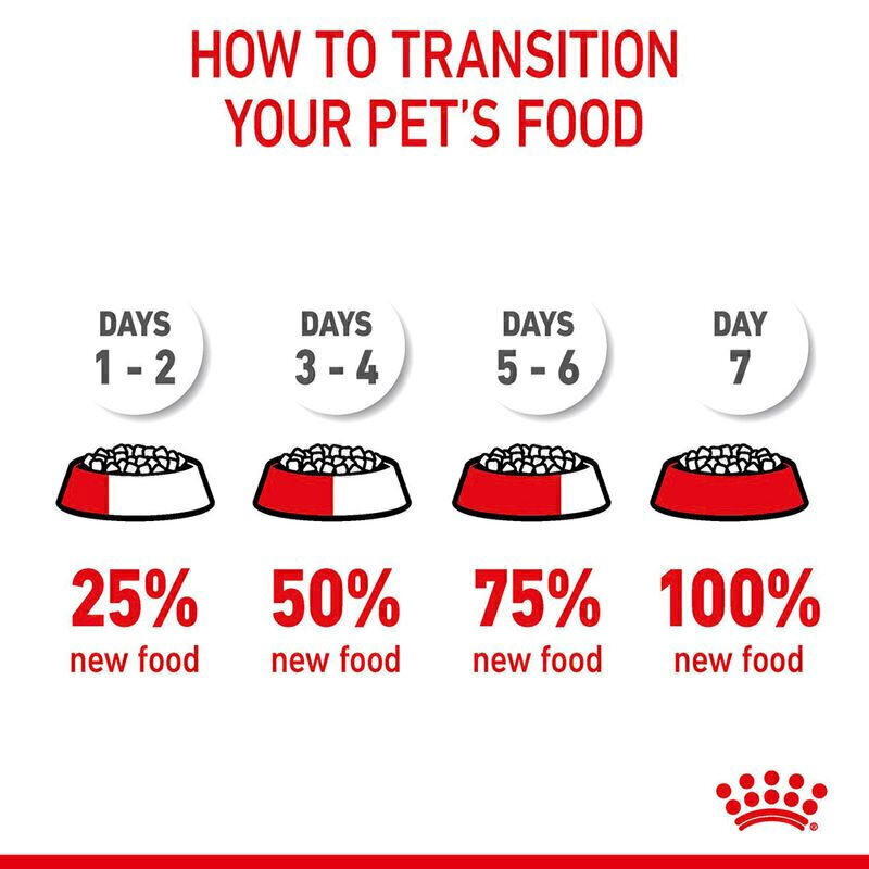  راهنمای تصویری انتقال از یک غذا به غذای خشک گربه ضد گلوله‌مویی رویال کنین Royal Canin Hairball Care وزن 2 کیلوگرم 