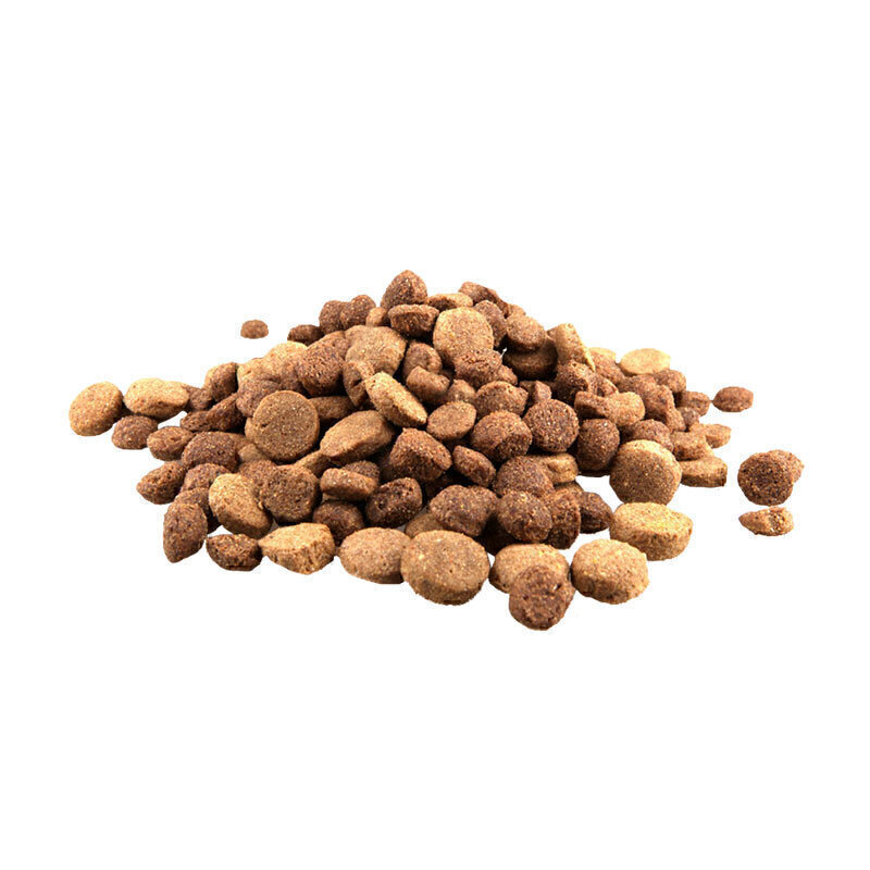  تصویر محتویات غذای خشک سگ مدل لم بیسیک جوسی داگ جوسرا Josera Josidog Lamb Basic وزن 1 کیلوگرم 