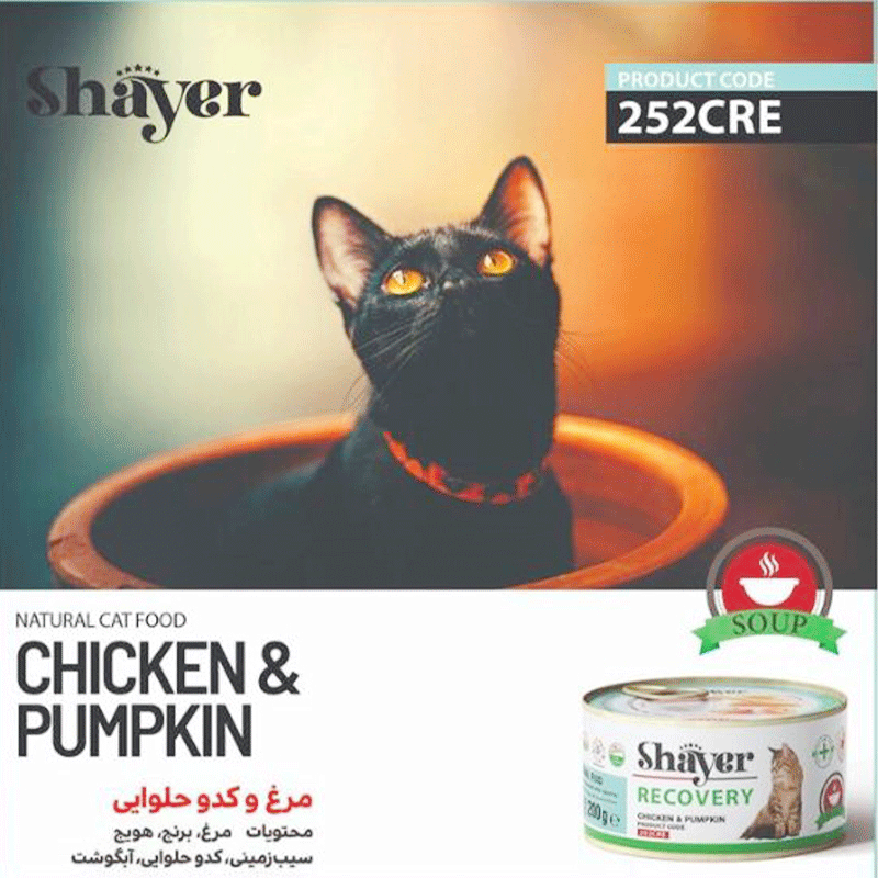  تصویر کاتالوگ کنسرو ریکاوری گربه شایر مدل Chicken & Pumpkin وزن ۲۰۰ گرم 