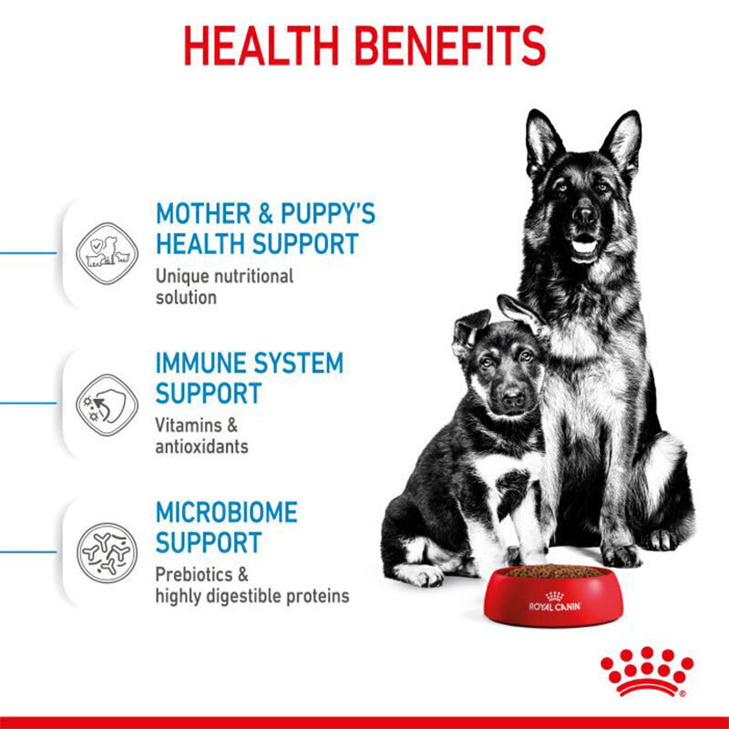 تصویر محتویات غذای خشک سگ رویال کنین مدلRoyal Canin Maxi Starter وزن 4 کیلوگرم