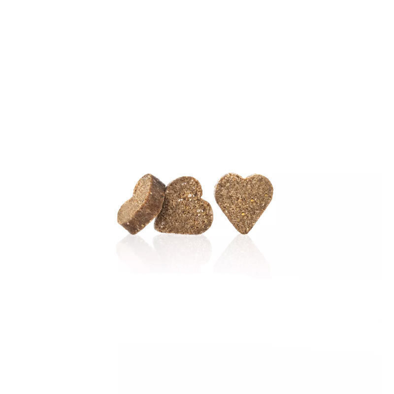  تصویر دانه تشویقی سگ هپی داگ Happy Dog Mini Soft Snack NewZealand Lamb وزن 100 گرم 