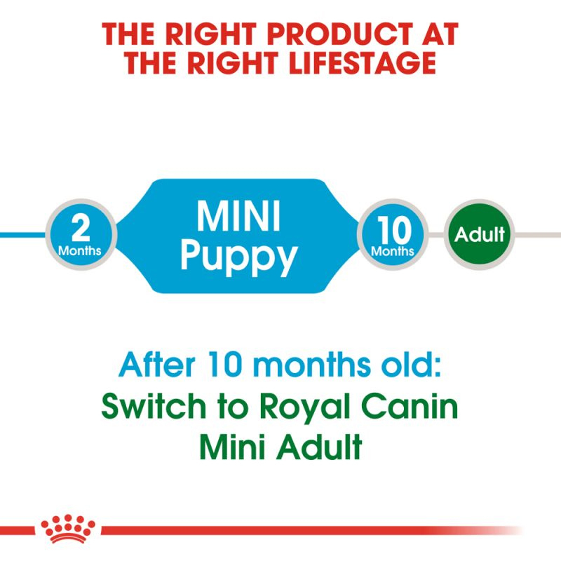 عکس راهنمای غذای خشک توله سگ رویال کنین مدل Royal Canin Mini Puppy وزن 2 کیلوگرم