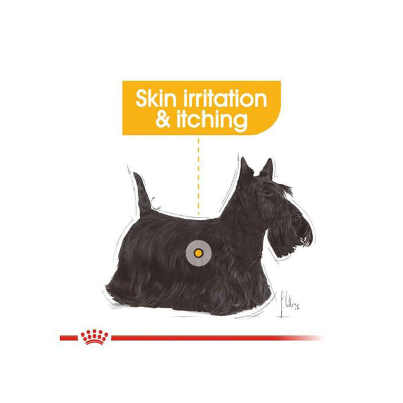  تصویر جلد پوچ سگ درما کامفورت رویال کنین Royal Canin DermaComfort وزن 85 گرم 