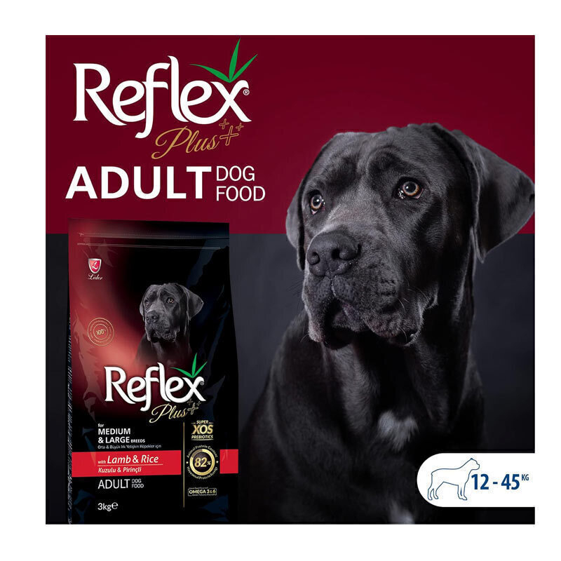  تصویر 2 غذای خشک سگ بالغ با طعم بره و برنج رفلکس پلاس Reflex Plus Adult Lamb & Rice وزن 15 کیلوگرم 