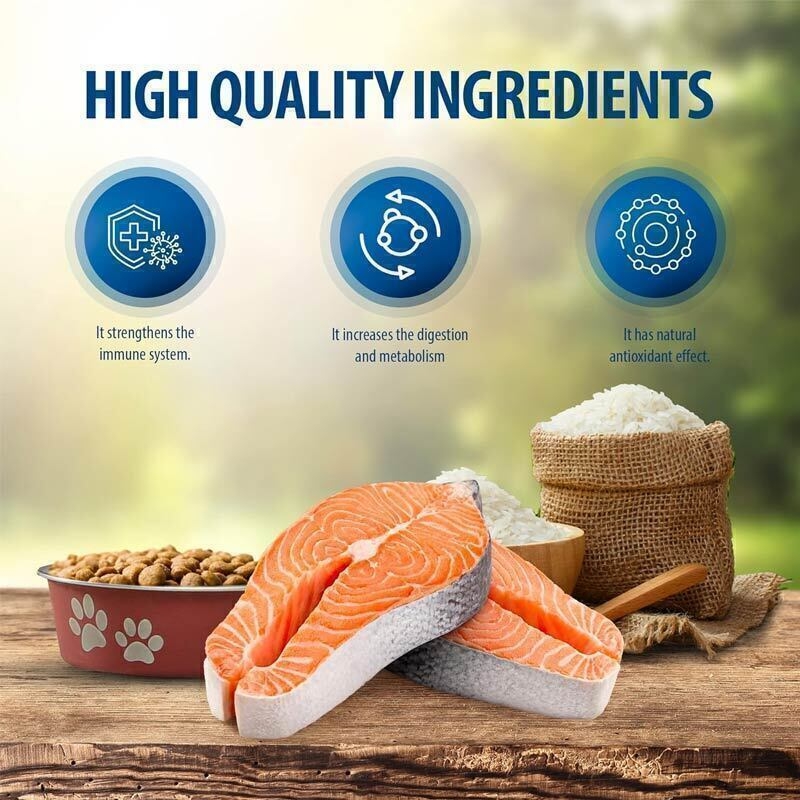  تصویر اینفوگرافی ویژگی های غذای خشک گربه مناسب گربه بد غذا با طعم ماهی سالمون رفلکس پلاس Reflex Plus Choosy with Salmon 