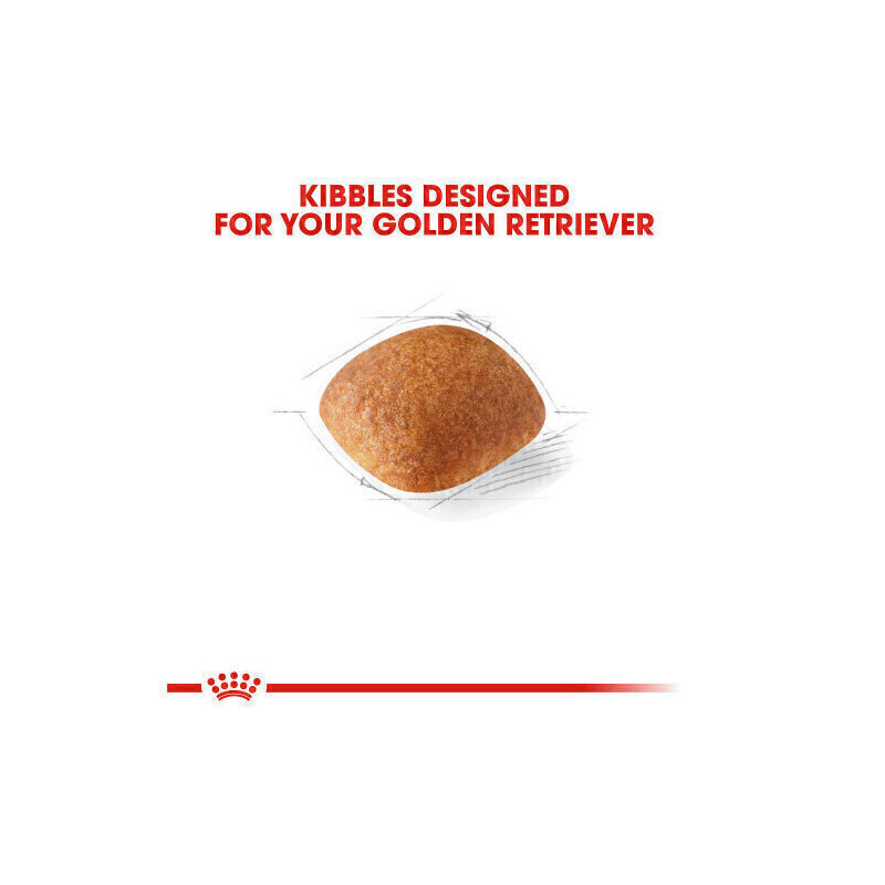  تصویر محتویات غذای خشک سگ بالغ گلدن رتریور رویال کنین Royal Canin Golden Retriever Adult وزن 12 کیلوگرم 