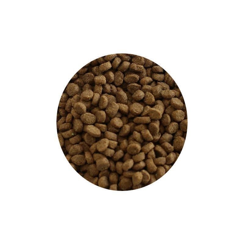 عکس دانه بندی غذای خشک گربه مناسب گربه بد غذا با طعم ماهی سالمون رفلکس پلاس Reflex Plus Choosy with Salmon وزن 1.5 کیلوگ 