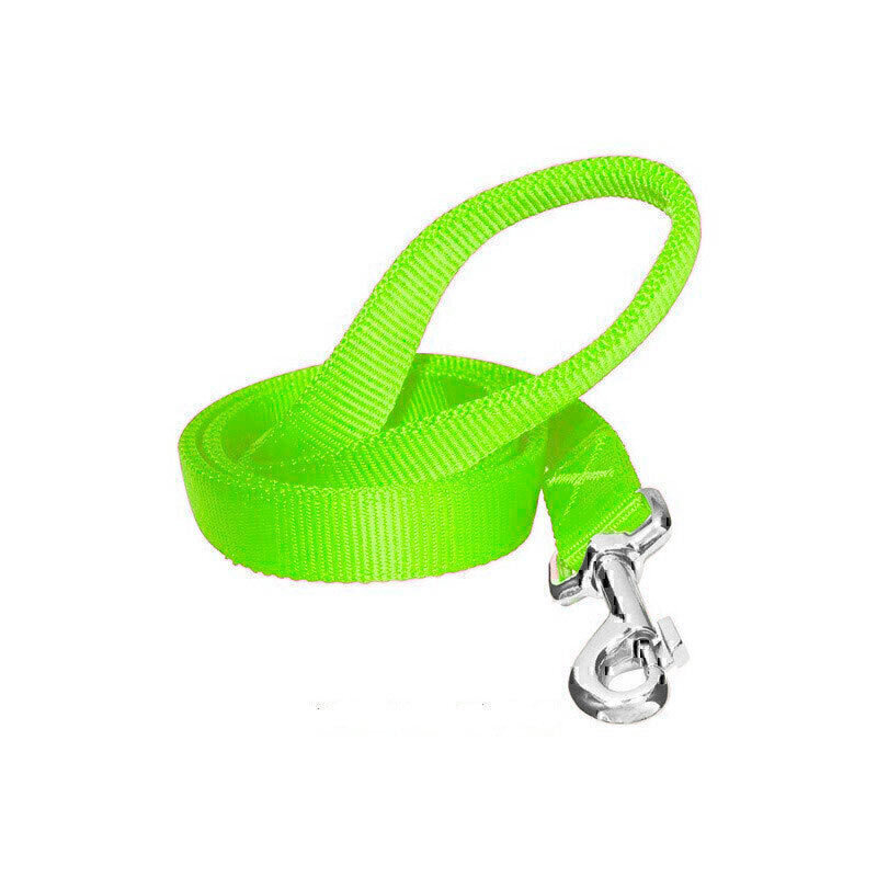  تصویر لید سگ تسمه ای هاگن Hagen Dogit Nylon Leash سایز L رنگ سبز 
