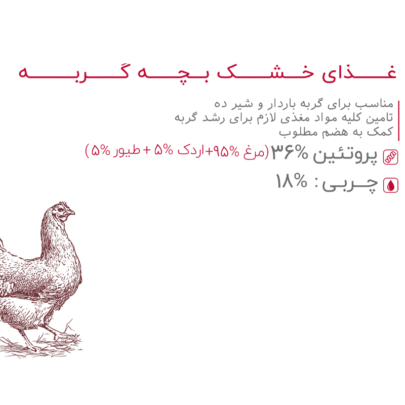  غذای خشک بچه گربه بابین با طعم مرغ Babin Kitten Chicken وزن 2 کیلوگرم کاتالوگ 