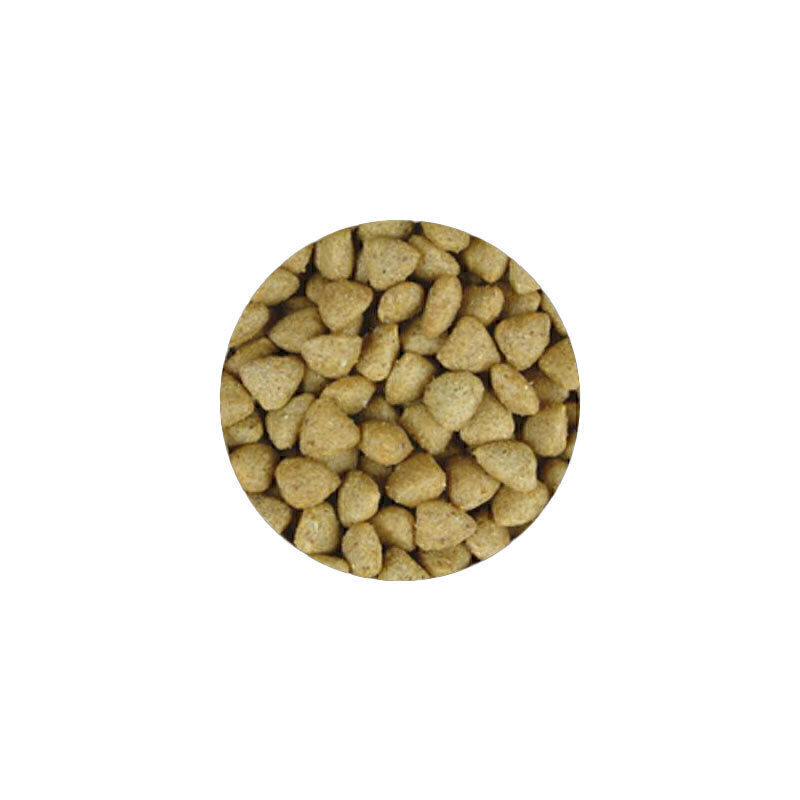تصویر محتویات غذای خشک بچه گربه جوسرا با طعم گوشت پرندگان JosiCat Kitten Poultry وزن 1 کیلوگرم