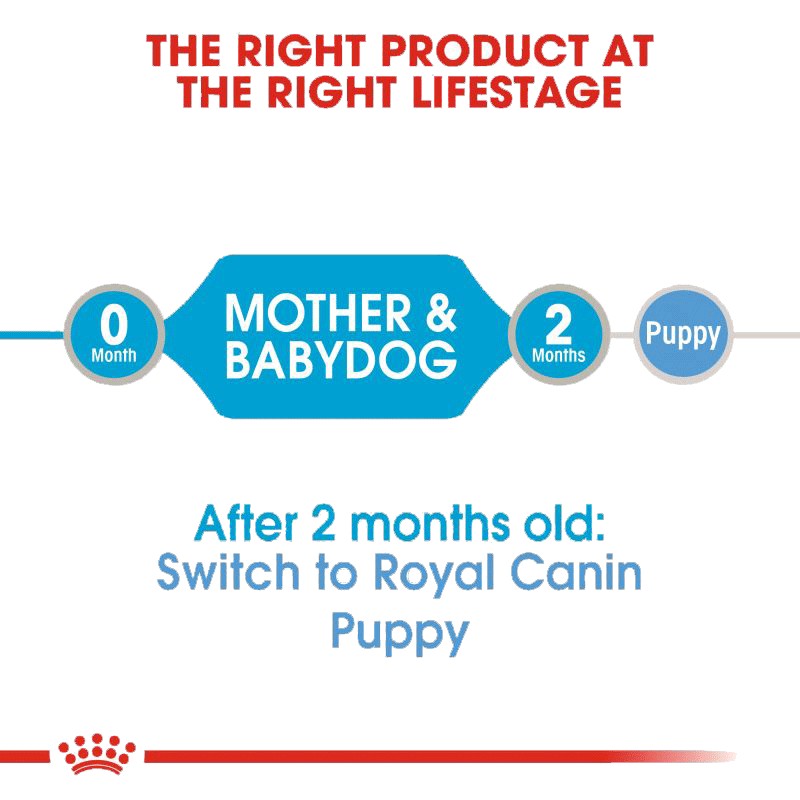  تصویر توضیحات کنسرو غذای سگ رویال کنین Royal Canin Starter Mother & Babydog وزن ۱۹۵ گرم 
