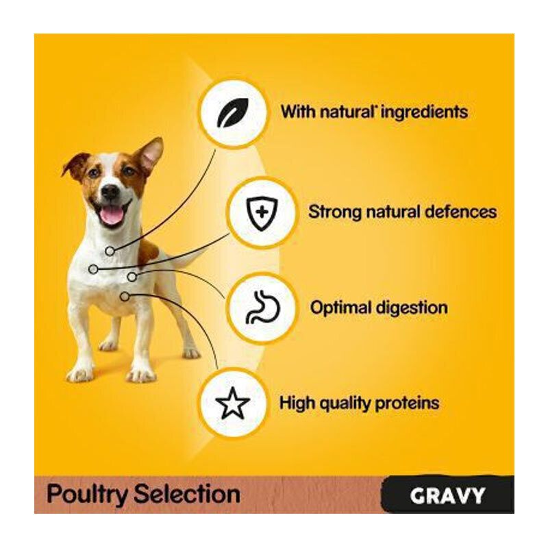 تصویر فواید پوچ سگ پدیگری در دو طعم Pedigree Meat Selection In Gravy بسته 4 عددی