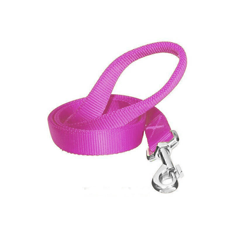  تصویر لید سگ تسمه ای هاگن Hagen Dogit Nylon Leash سایز L رنگ بنفش 