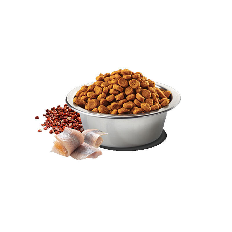  تصویر محتویات غذای خشک سگ بالغ با طعم شاه ماهی و نارگیل ان اند دی مناسب برای پوست و مو 
