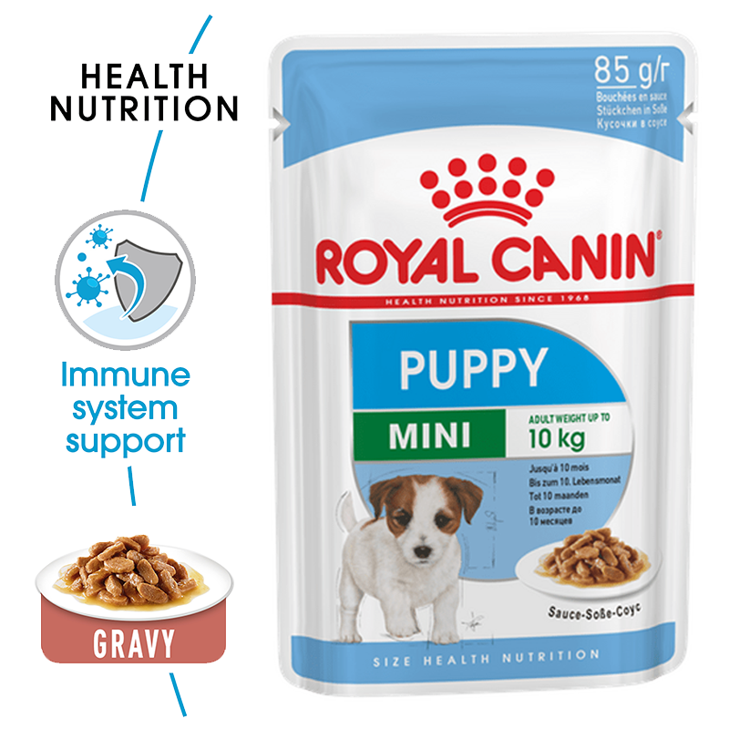  عکس پوچ و جزییات بسته غذای خشک و تر توله سگ رویال کنین مدل Mini Puppy 