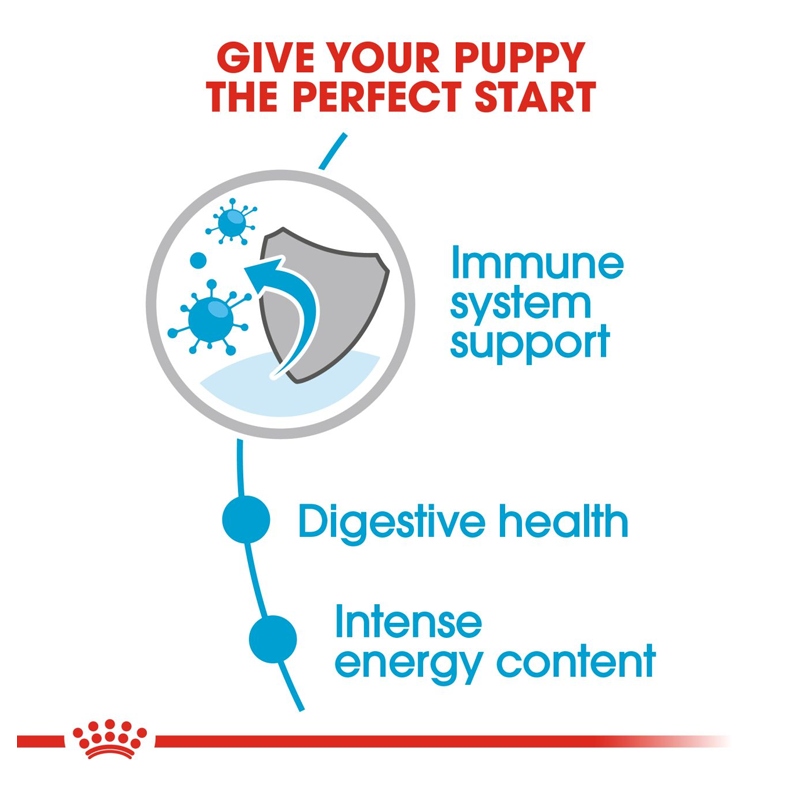  عکس جزئیات پوچ توله سگ رویال کنین Royal Canin Mini Puppy وزن ۸۵ گرم 