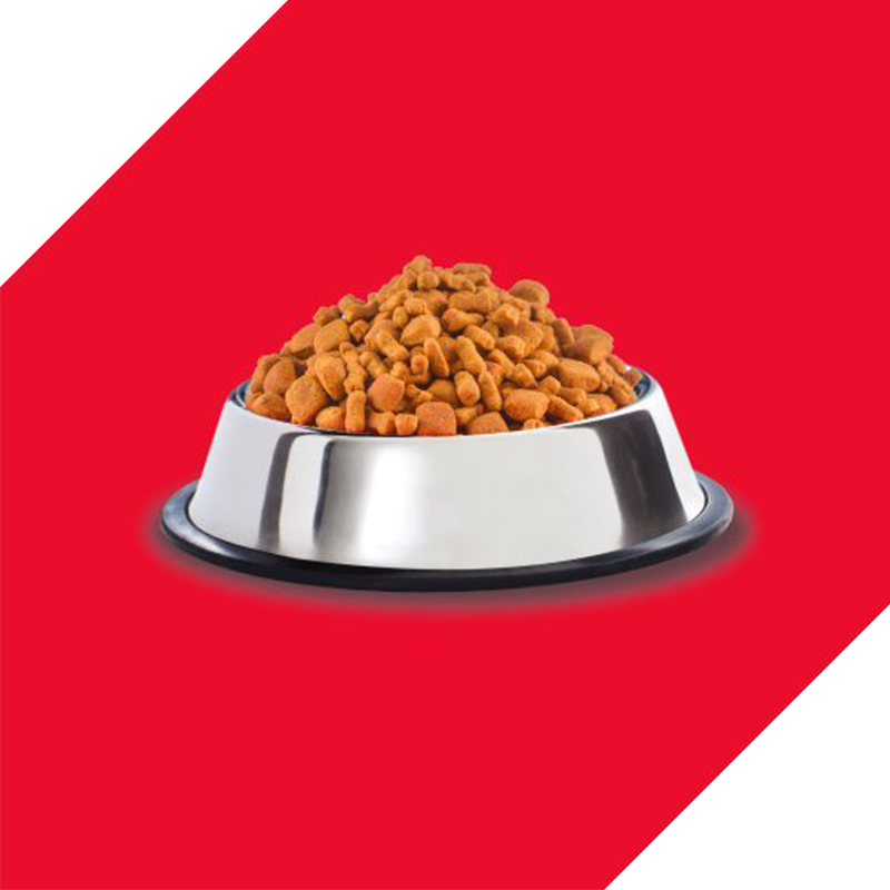  عکس دانه غذای خشک توله سگ درولز مدل Puppy Chicken & Egg وزن 1.2 کلیوگرم 