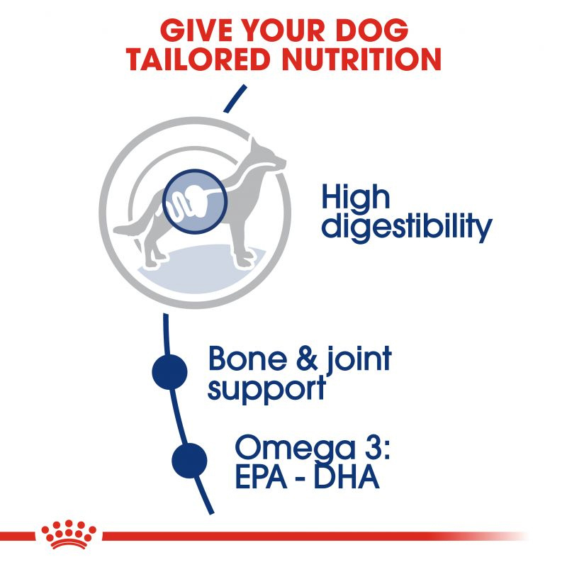  عکس توضیحات غذای خشک سگ نژاد بزرگ رویال کنین Royal Canin Maxi Adult وزن 4 کیلوگرم 