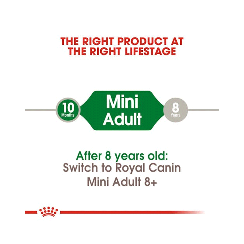  تصویر توضیحات پوچ سگ رویال کنین مدل Mini Adult وزن ۸۵ گرم 