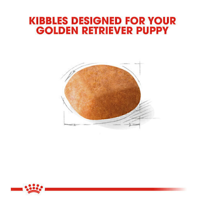  تصویر محتویات غذای خشک توله سگ گلدن رتریور رویال کنین Royal Canin Golden Retriever Puppy وزن 1 کیلوگرم 