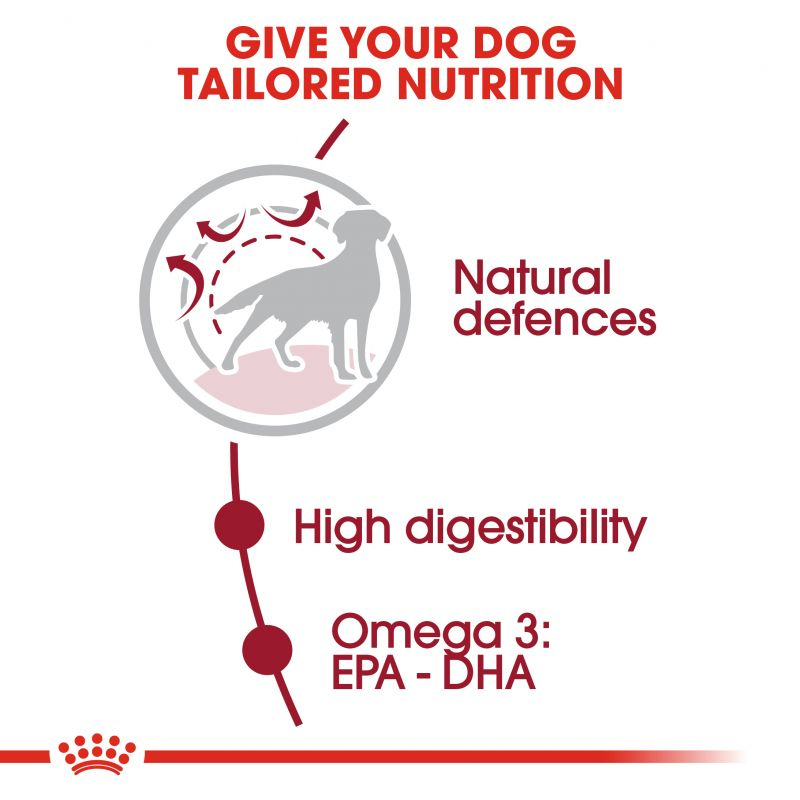  عکس نحوه عملکرد غذای خشک سگ بالغ نژاد متوسط رویال کنین Royal Canin Medium Adult وزن 4 کیلوگرم 