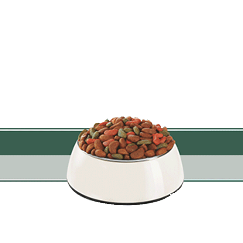  تصویر دانه غذای خشک سگ بالغ با طعم گوشت بره، برنج و سبزیجات رفلکس Reflex Adult Lamb & Rice & Vegetable وزن 3 کیلوگرم 
