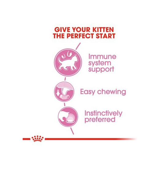  راهنمای پوچ بچه گربه رویال کنین Royal Canin Kitten وزن 85 گرم 