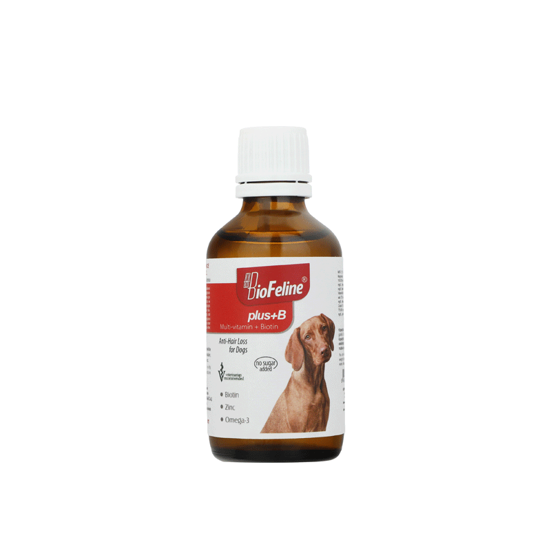  تصویر محصول قطره ب-کمپلکس سگ بیوفلاین BioFelinen Plus+B Drop حجم 50 میلی لیتر 