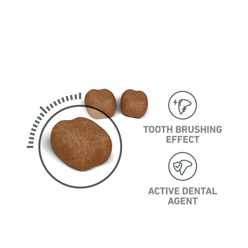  تصویر محتویات غذای خشک Royal Canin Dental Care وزن 1.5 کیلوگرم 