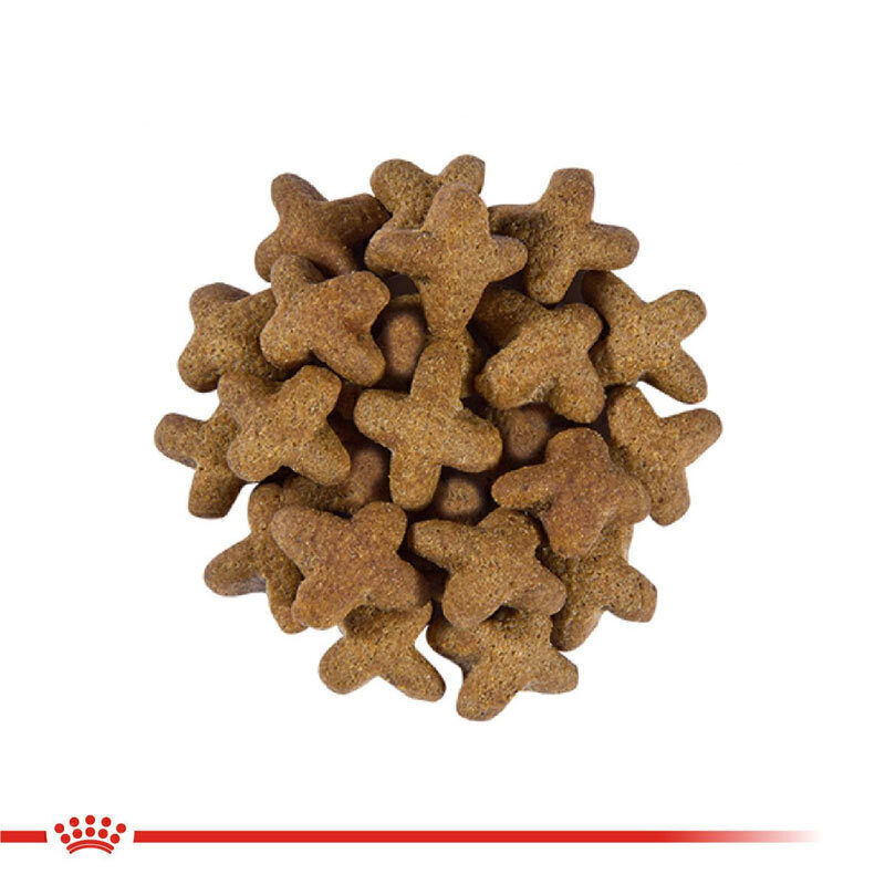  عکس دانه‌بندی غذای خشک سگ رویال کنین مخصوص کنترل اشتها Royal Canin Satiety Support وزن 1.5 کیلوگرم 