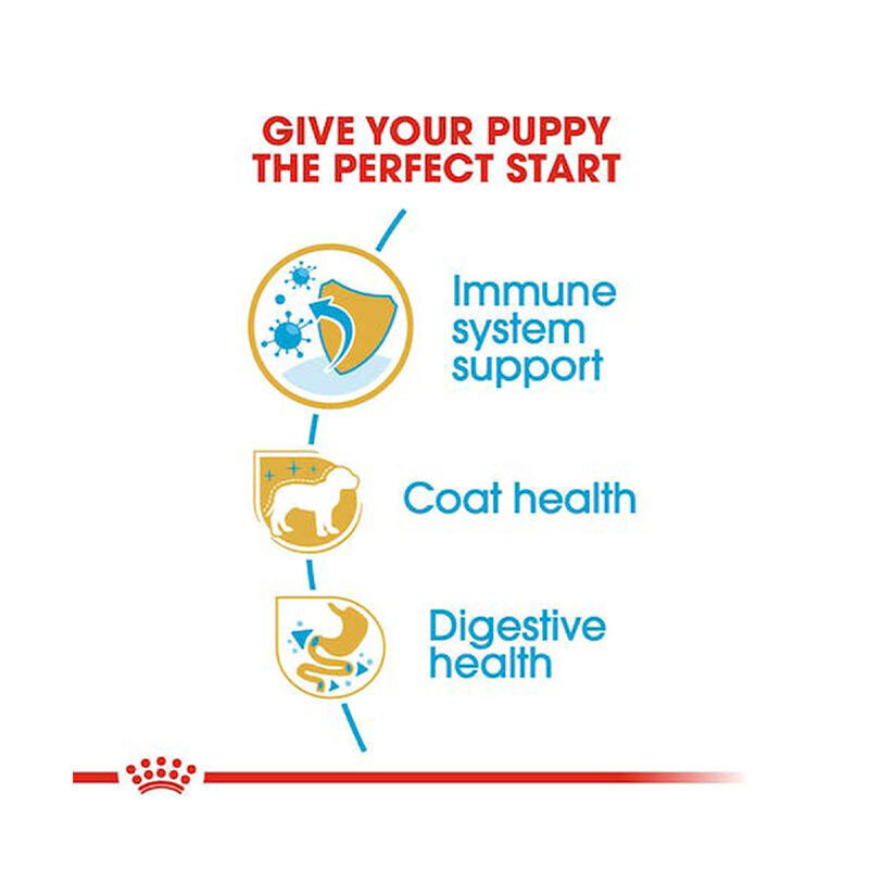  تصویر ویژگی‌های غذای خشک توله سگ رویال کنین Royal Canin Puppy Poodle وزن 3 کیلوگرم از نمای رو به رو 